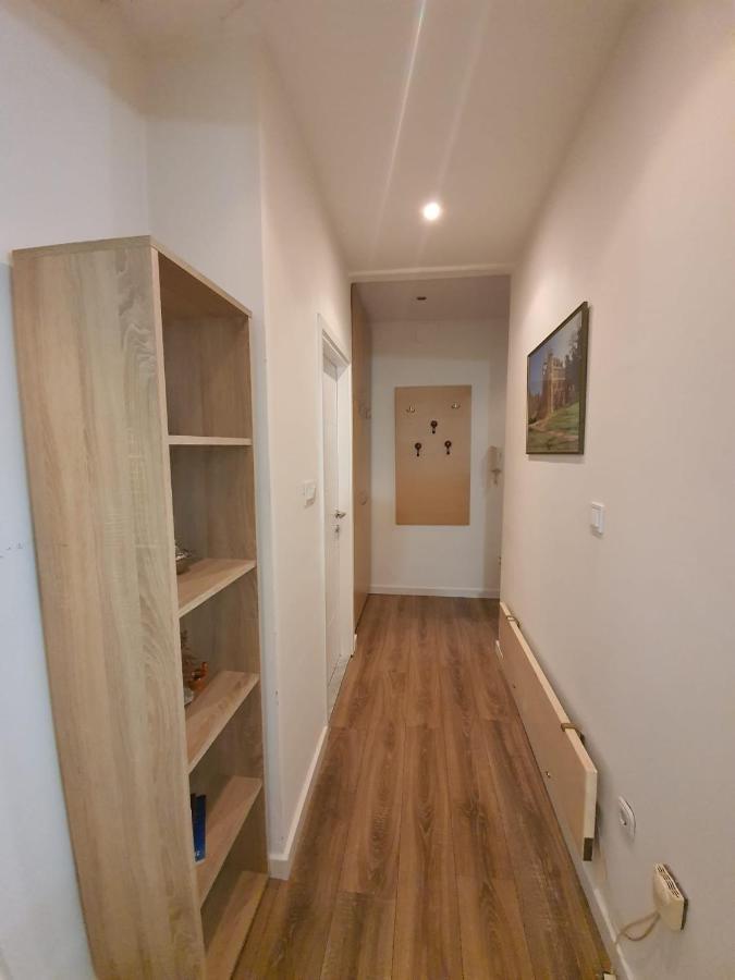 Apartment D Free Parking & Wifi, Walking Distance To Centrum ザダル エクステリア 写真